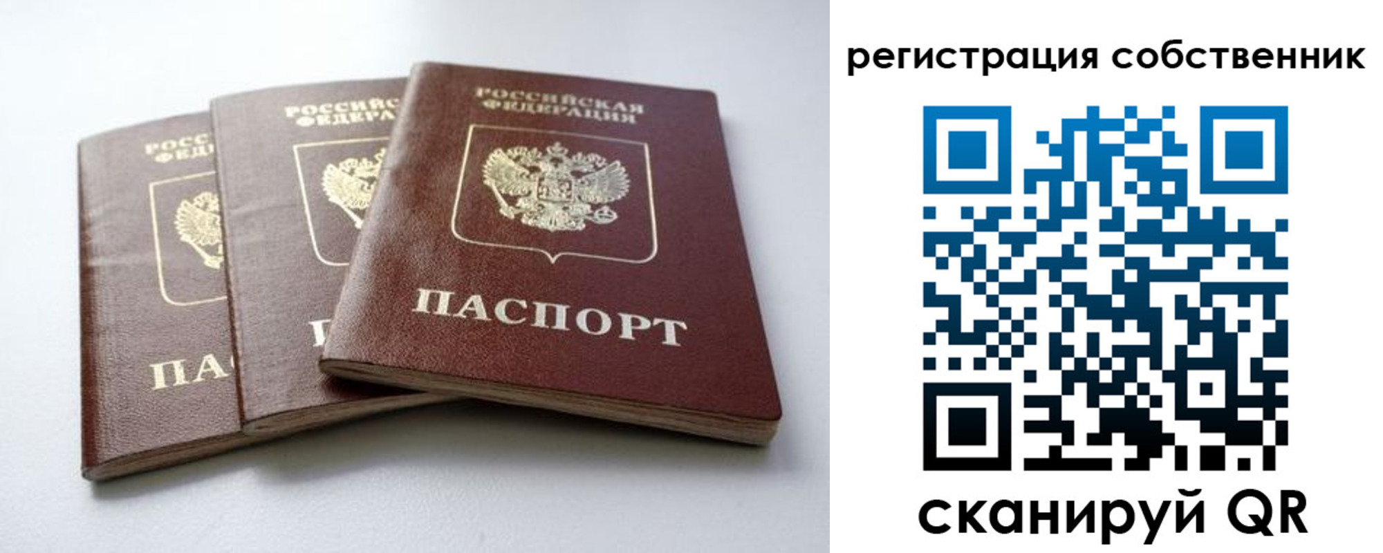 прописка для школы в Морозовске